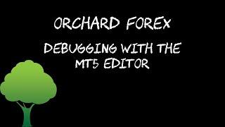 Use the MT5 editor for debugging