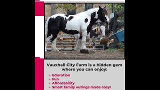 Vauxhall City Farm | Free Family Outing in London | Smarty Parenting Guide