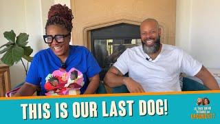 This Is Our Last Dog | ITGTCAA Podcast | That Chick Angel TV