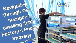 Understanding the Precise Pricing of Our hexagon best lighting for art studio Factory