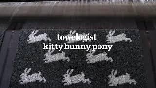 towelogist x kitty bunny pony