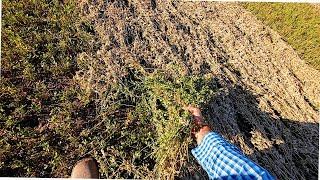 How to Bale Wet Hay