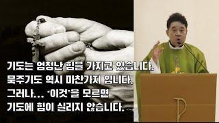 기도는 '엄청난 힘'을 가지고 있습니다.  묵주기도 역시 그렇습니다. 그런데 이것을 알아야 기도에 힘이 실립니다! -최황진 라파엘 신부- 천주교 / 가톨릭 / 신부님 강론 강의