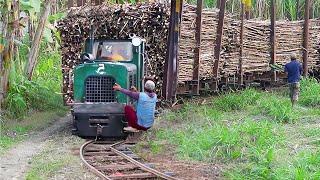 Transportando millones de toneladas de caña de azúcar con trenes primitivos y modernos