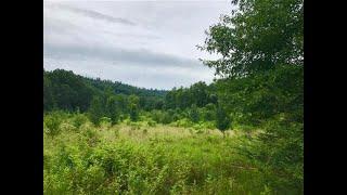 Beautiful 16.6 Acre Building Lot for Your Dream Home!