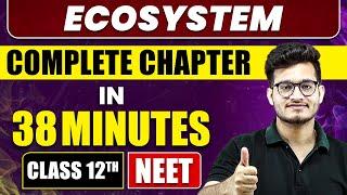 Ecosystem in 38 Minutes | Full Chapter Revision | Class 12th NEET