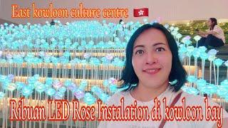 LED ROSE INSTALATION‼️RIBUAN LED ROSE INSTALATION DI KOWLOON BAY