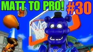 MATT TO PRO STATUS | Wii Sports Resort Basketball #30