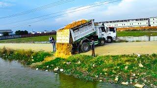 Starting Project Pour Soil Enter Water Will push Land by experts Bulldozer With the group Dump Truck