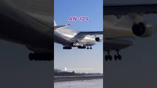 Antonov Ingores BIRD STRIKE Warning 