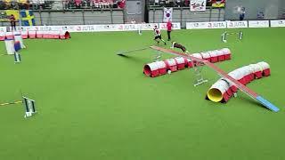 HYUMIE Kevin Vander Elst BEL Agility Large Individual FCI AWC 2022