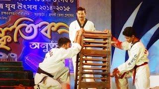 Awesome Breaking Demonstration By Taekwondo Grandmaster Mr. Sumit Ghosh