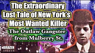 The Extraordinary Lost Tale of New York's Most Wanted Killer: The Outlaw Gangster from Mulberry St.