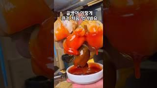 자연산 백골뱅이만 취급하는 존맛집 발견️#맛집추천 #맛집 #꿀팁 #강남맛집 #신사동맛집