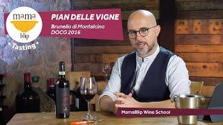 Pian delle Vigne Brunello di Montalcino DOCG 2016 - Wine Tasting