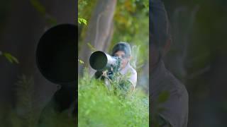 Wait till the end #nature #langur #nikon #wildlife #z9