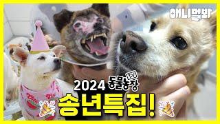 [풀영상] 굿바이 2024! 동물농장 송년맞이 근황 특집ㅣ[FULL] Adios 2024! TV Animal Farm Star Updates