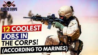 12 Coolest Jobs In The Marine Corps! (According to Marines)