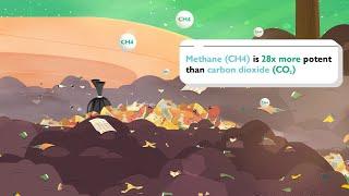 Waste Wise - Explainer Video by Creative Triplet