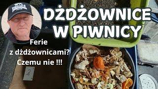 Zimowe kompostowanie z dżdżownicami. Kuwetka nr II.