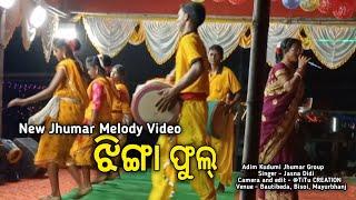 New Jhumar Melody Video || ଝିଙ୍ଗା ଫୁଲ୍ || Singer - Jasna Didi || Bautibeda Jhumar stage program 2024