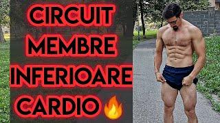 1.2 CIRCUIT - Membre inferioare CARDIO