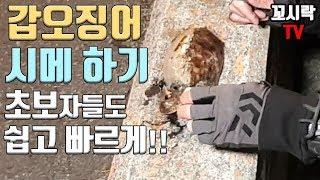 갑오징어 시메하기! 초보들도 쉽고 빠르게! 신선도 유지해서 횟감으로! 갑오징어낚시 해서 갑오징어시메!