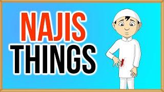 Najis Things - Islamic Law (6)