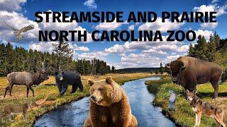 Uncaged Zoo Tours: Streamside and Prairie at the North Carolina Zoo #uncagedzootours