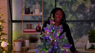 Home Reflections Color Flip Fairy Light Christmas Tree on QVC