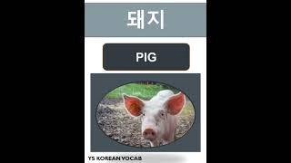 Basic Korean Words for Beginner | #learnkorean #studykorean #koreanlanguage #korean