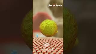 ماموریت ویژه دارو در بدن #تومور #دارو #پزشکی_بدون_کنکور