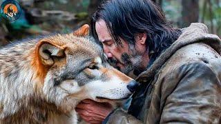 Keanu Reeves Cares for Starving Pregnant Wolf Through Winter – What Happened a Year Later Will Aston