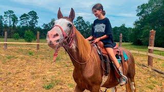 How to Build a Round Pen for Horses CHEAP.  DIY!