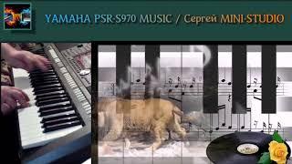 Bisquit - Zoo Zoo Dance Remix 2018 создан created на синтезаторе Yamaha PSR-S970