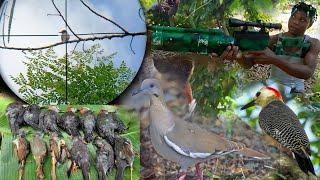 AWESOME Bird Hunting For Bird Soup