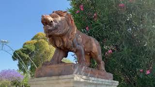 Walking in Municipal Park in Limassol, Cyprus