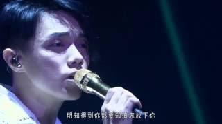 張敬軒 Hins Cheung - 遙吻 (Hins Live in Passion 2014)