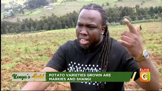 Kenya's Gold | DJ Tee Boy as a potato farmer - Agri Star