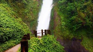 Kolakham Changey waterfall / Off beat / North Bengal Tour/  Kalimpong Sightseeing