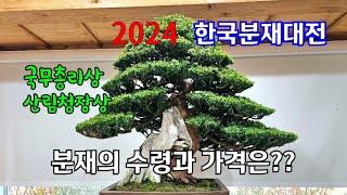 2024 한국분재대전, 분재의 수령과 가격은??