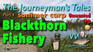 Carp Fishing Summer At Blackthorn Fishery - The Journeyman's Tales - Part 4 #carpfishing