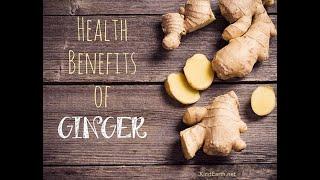 Health benefits of Ginger - @Witapedia