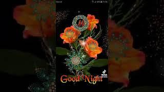 GOOD NIGHT ALLE FRIENDS 