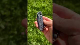 Kizer Drop Bear 