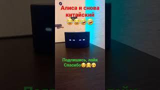 Алиса и китайский 2#shorts