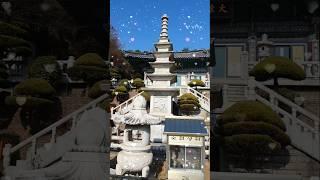 아담하고작은사찰 #금용사 #인도의향불 #정의송 #희망찬25년성불하세요