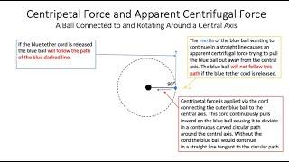 Centripetal vs Apparent Centrifugal Force Demonstrated with a Shepherd's Sling and a Tennis Ball