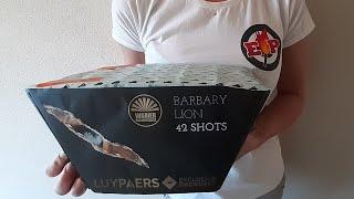 Barbary Lion : Luypaers NL : 42 Shots : Straatfilm : Zena vuurwerk