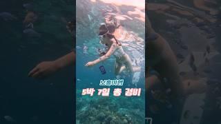 보홀여행 총경비 극성수기는 다들 피하시라 이말이야 #보홀 #보홀여행 #보홀경비